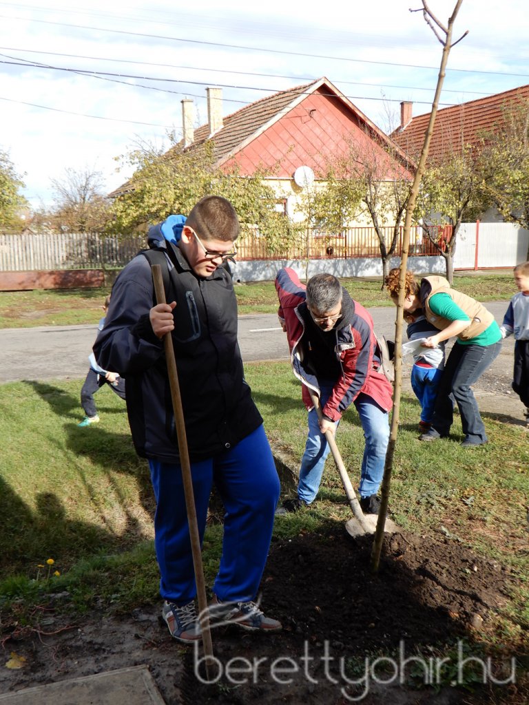 Közösségi faültetés Berettyóújfaluban 56